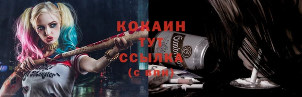 индика Семикаракорск