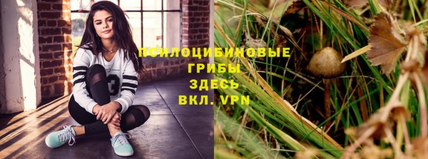 хмурый Дмитровск