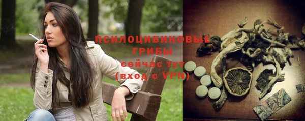 скорость Семилуки