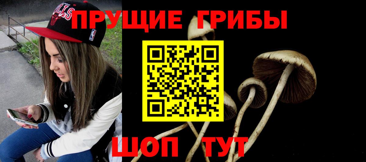 Таганрог  Псилоцибиновые грибы Magic Shrooms  Вход с VPN 