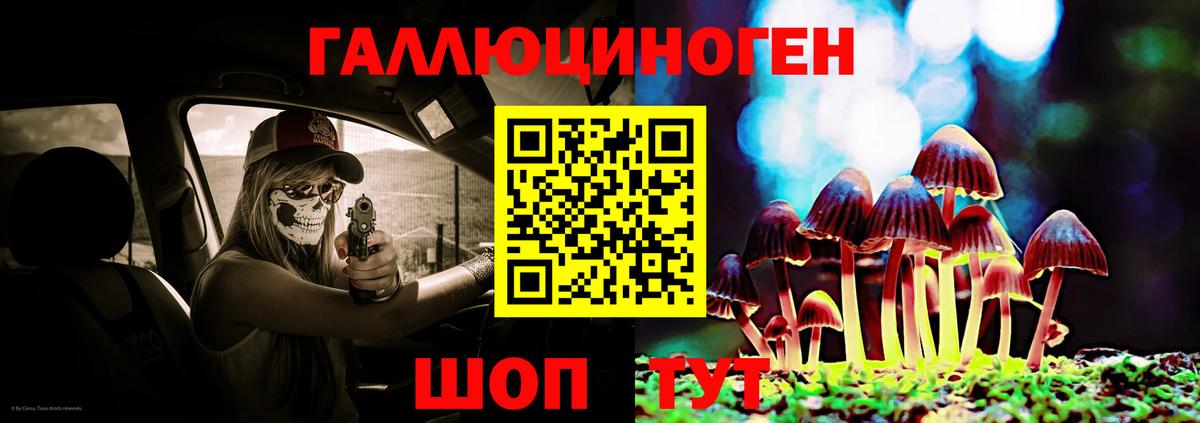 Галлюциногенные грибы прущие грибы  Галлюциногенные грибы мицелий  Таганрог 
